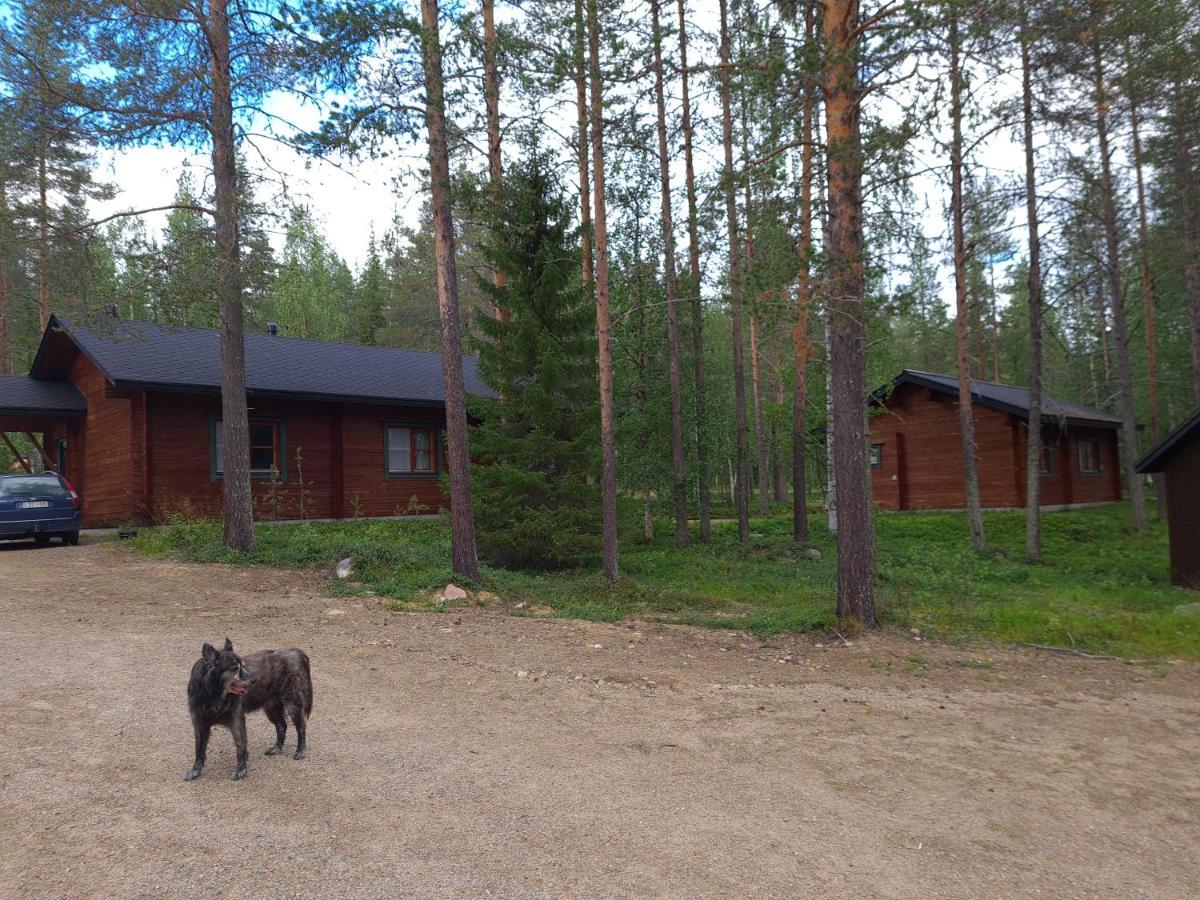Silver Fox Hostel Äkäslompolo Buitenkant foto